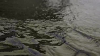 Black Sand Beach, İzlanda 'da Akan Deniz Suyu' nun Kilitlenme Çekimi