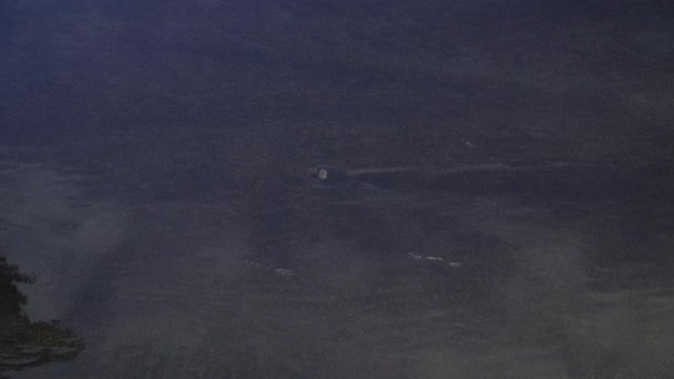 Медленное Движение Закрывает Ручную Фотографию Прогуливающегося Сапогах Над Черным Мокрым — стоковое видео