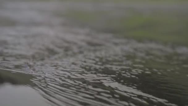 Close Tilt Shot Flowing Sea Water Black Sand Beach Iceland — Stock Video