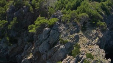 Rocky Kıyısındaki Ağaçların Üzerindeki İHA Açık, Mavi Deniz