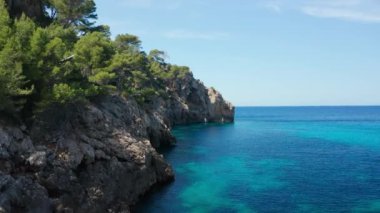 Ağaçlar ve mavi, sakin denizle Rocky sahilinde insansız hava aracı uçuşu