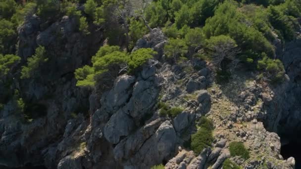Drone Over Trees On Rocky Coastline With Clear, Blue Sea — Stock Video