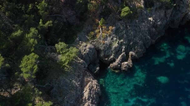 Drone Over Trees On Rocky Coastline With Clear, Turquoise Sea — Stock Video