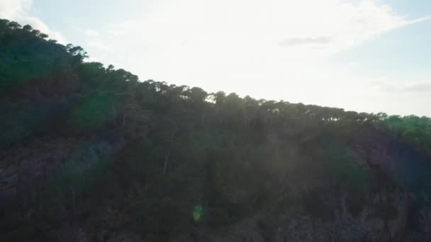 Drone Flight stiger över skogen av träd mot glödande soluppgång — Stockvideo