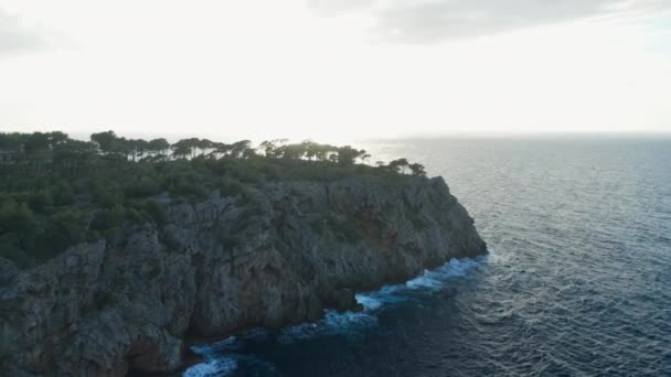 Drone Over Trees On Coastline Towards Glowing Sunrise — Vídeos de Stock