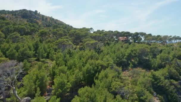 Voo de zangão sobre a floresta de árvores com edifício remoto — Vídeo de Stock