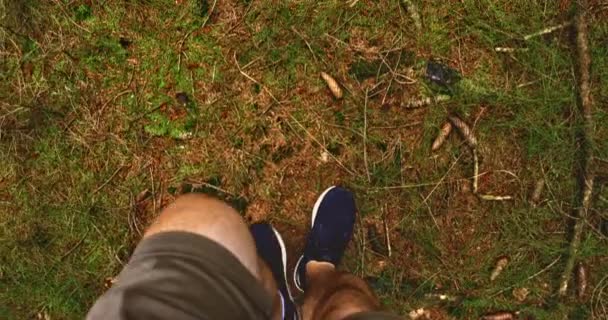 摄影操作员穿越森林 — 图库视频影像