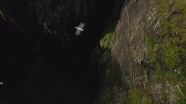 Drone over de kustlijn met Asmundarstakkur Sea Stack — Stockvideo