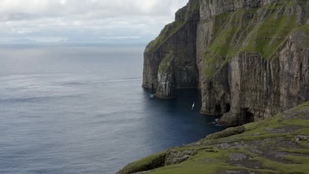 Drönare mot Asmundarstakkur Sea Stack — Stockvideo