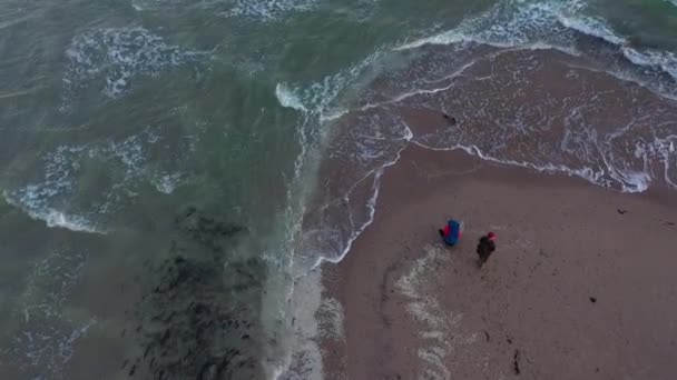 Drone sopra le persone e sigillare lungo Grenen Sandbar — Video Stock