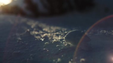 Karla kaplı yüzeyde güneş ışığı