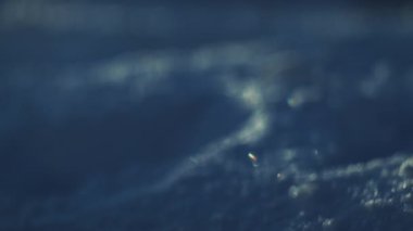 Karla kaplı yüzeyde güneş ışığı