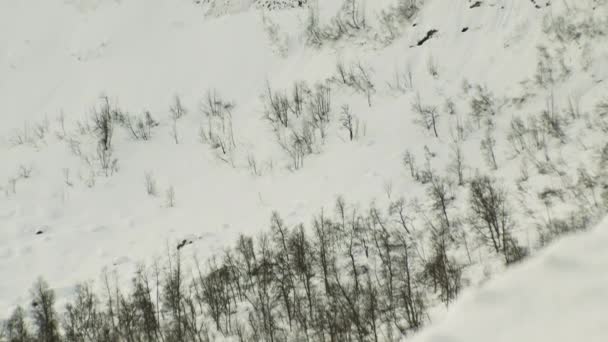 Côté montagne couvert de neige avec des arbres et des rochers — Video