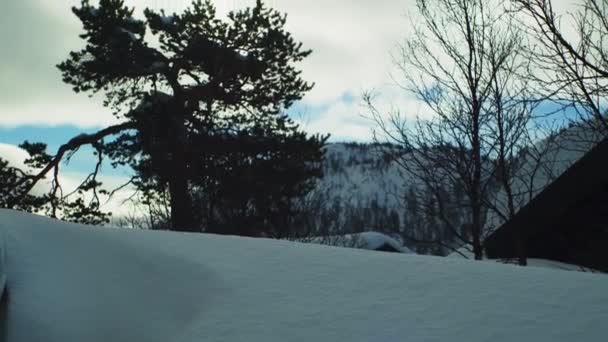 Árboles y edificios de madera bajo nieve pesada — Vídeos de Stock