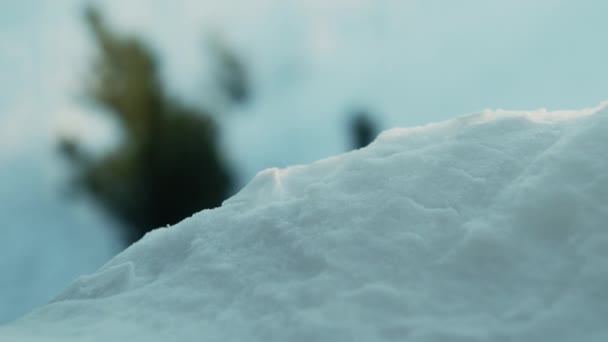 Nieve blanca con luz solar — Vídeo de stock