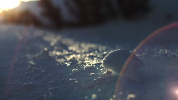 Luz del sol en la superficie cubierta de nieve — Vídeo de stock
