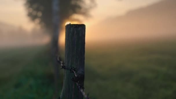 晨光下的雾蒙蒙的草地上的木制邮筒 — 图库视频影像