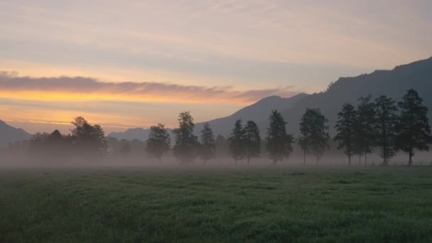 Misty Landskap med träd och berg vid soluppgången — Stockvideo