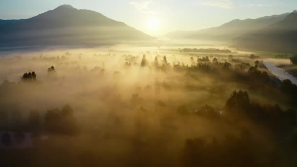 Drone over Ethereal Misty Τοπίο του Zell Am Δείτε να ανατέλλει — Αρχείο Βίντεο