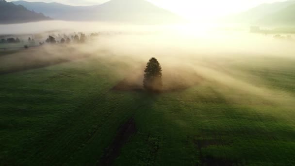 Drone Over Ethereal Misty Landscape Of Zell Am See, — Stock video