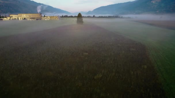 ツェルのエーテルの霧の風景の上にドローンは見る, — ストック動画