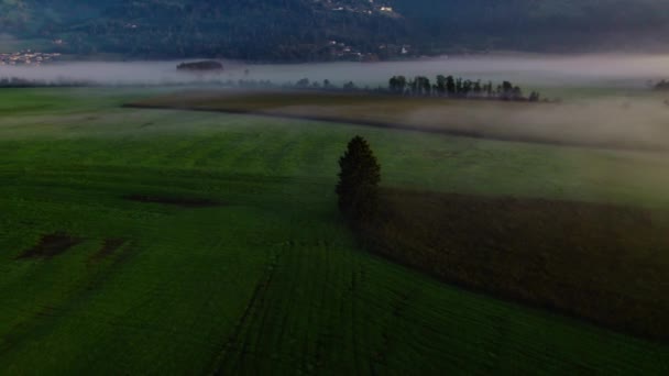 Drone Over Ethereal Misty Landscape Of Zell Am See, — Stock video