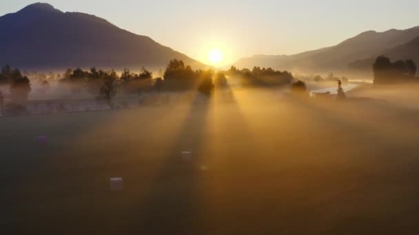 Беспилотник над туманным ландшафтом Целле можно увидеть по утрам — стоковое видео