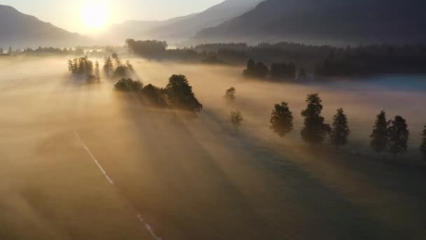 Drone over Ethereal Misty Τοπίο του Zell Am δείτε την αυγή — Αρχείο Βίντεο
