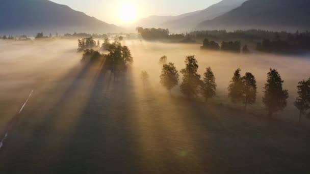 夜明けに見るツェルのエーテルの霧の風景の上のドローン — ストック動画