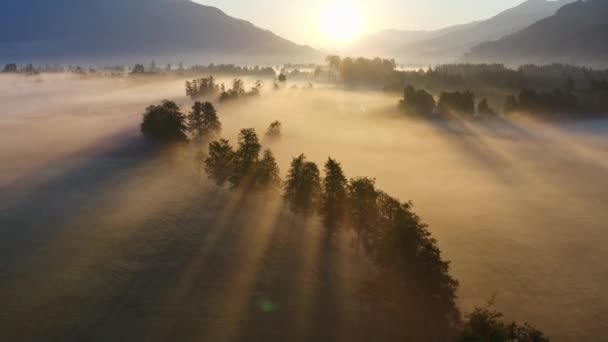 Drone sobre etéreo Misty paisagem de Zell am ver ao amanhecer — Vídeo de Stock