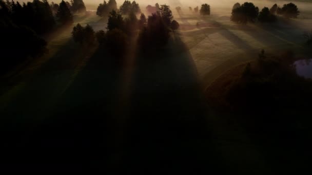 Dron nad eterycznym mglistym krajobrazem Zell Am See o świcie — Wideo stockowe