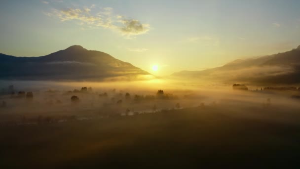 Drone sopra etereo nebbioso paesaggio di Zell am See verso l'alba — Video Stock