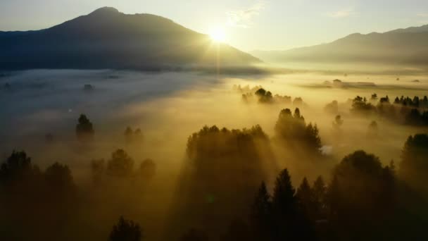 日の出に見るツェルのエーテルの霧の風景の上のドローン — ストック動画