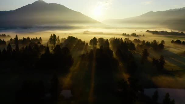 Drone Over Etherisch Mistig Landschap Van Zell Am See Bij zonsopgang — Stockvideo