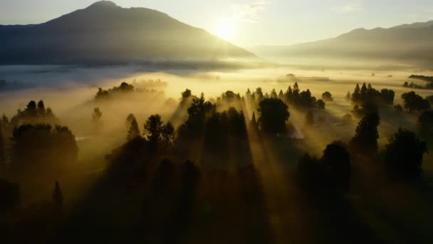 日の出に見るツェルのエーテルの霧の風景の上のドローン — ストック動画