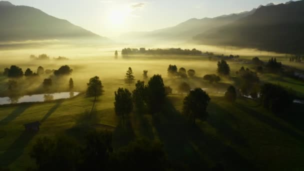 夜明けに見るZellの霧の風景の上のドローン — ストック動画