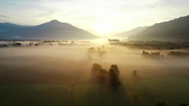 Drone sopra Sunit nebbioso paesaggio di Zell am vedere all'alba — Video Stock