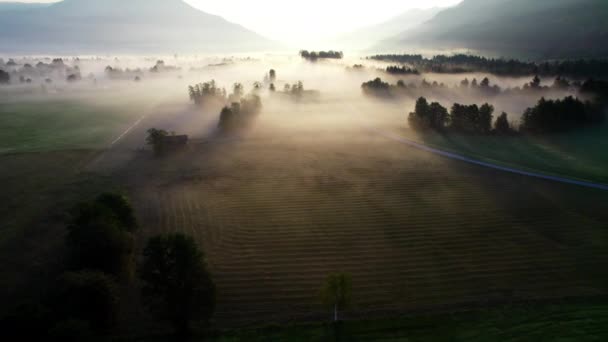 Drone sopra Sunit nebbioso paesaggio di Zell am vedere all'alba — Video Stock