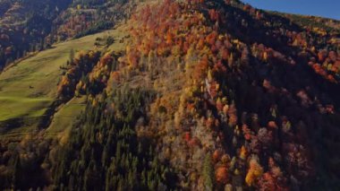 Sonbaharda Klammsee Rezervuar ve Ağaçlar üzerinde İHA uçuşu