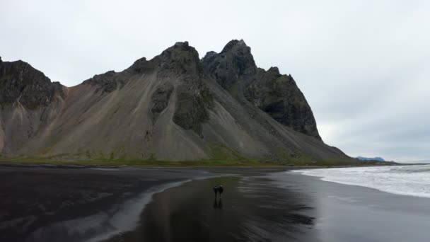 Persone che camminano lungo la spiaggia di sabbia nera a bassa marea verso Estrahorn — Video Stock