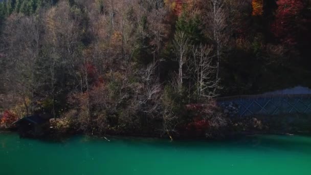 Drone Flight Over Klammsee Reservoir And Forest In Autumn — Stock Video