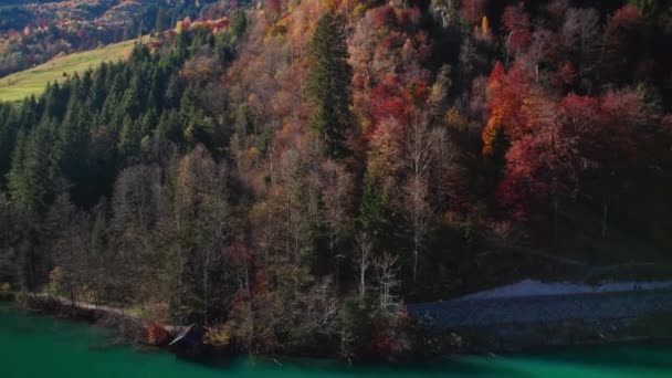 Vuelo de drones sobre el embalse y el bosque de Klammsee en otoño — Vídeo de stock