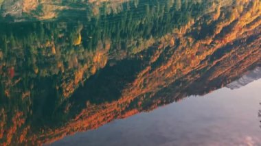 Sonbaharda Klammsee Rezervuarında Ağaç Kaplı Dağlar Yansıtılıyor