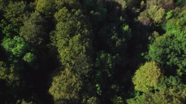 Yemyeşil Şehir Ormanının Üzerinde İHA Uçuşu