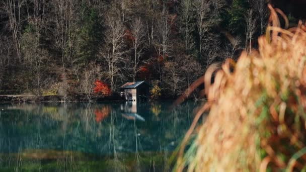 Drone del embalse de Klammsee en otoño con la casa de botes — Vídeo de stock