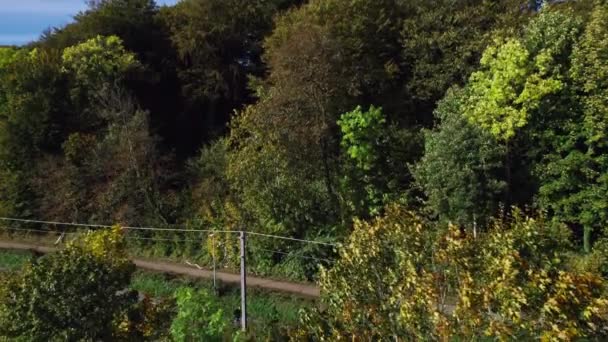 Lot dronem przez bujny las z rowerzystą przechodzącym obok — Wideo stockowe