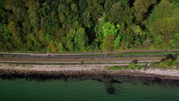 Drone Over Sea and Train Track obok bujnego, miejskiego lasu — Wideo stockowe