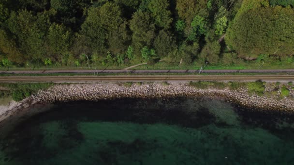 Drone sobre o mar e trem faixa ao lado de exuberante, floresta urbana com ciclista — Vídeo de Stock