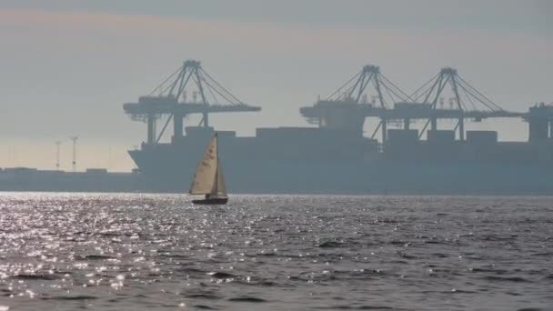 Velero en el agua en el puerto con grúas — Vídeos de Stock