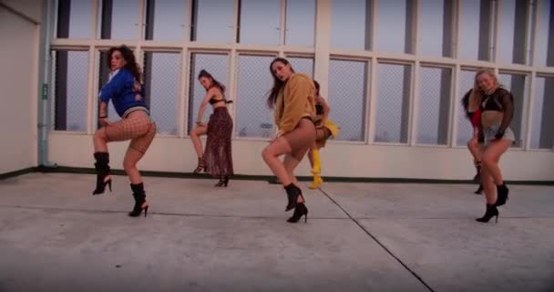 Todo el equipo de danza de la muchacha que realiza rutina en la azotea — Vídeo de stock